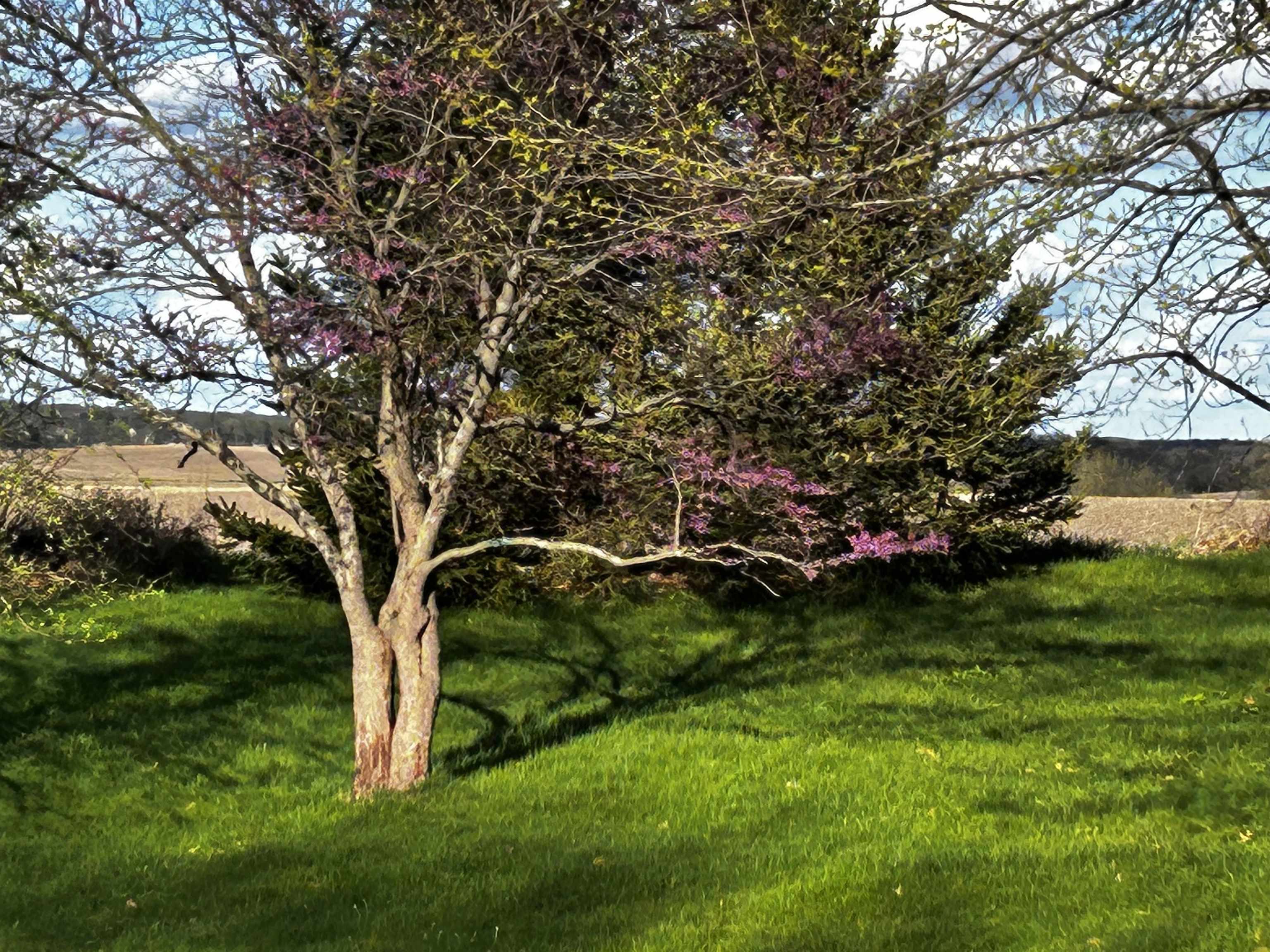 10072 Highway 72 Forreston, IL 61030 - Photo 35 of 36