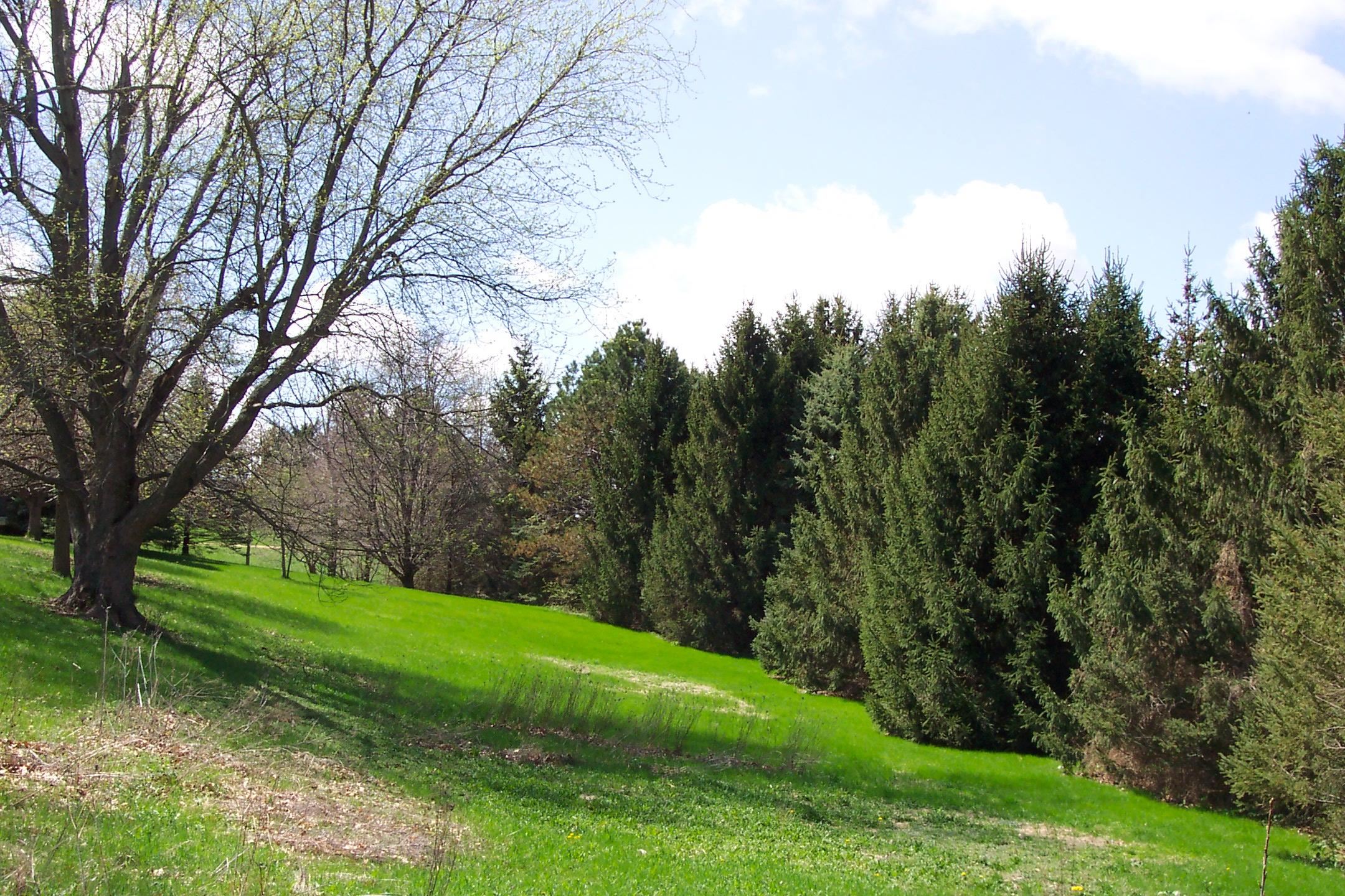 10072 Highway 72 Forreston, IL 61030 - Photo 5 of 36