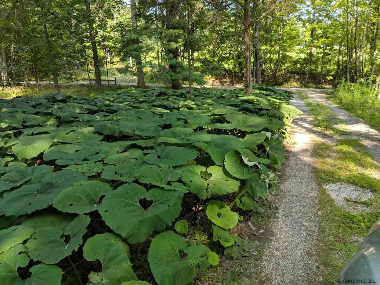 121 Raup Road Chatham, NY 12037 - Photo 5 of 5 Photo 5