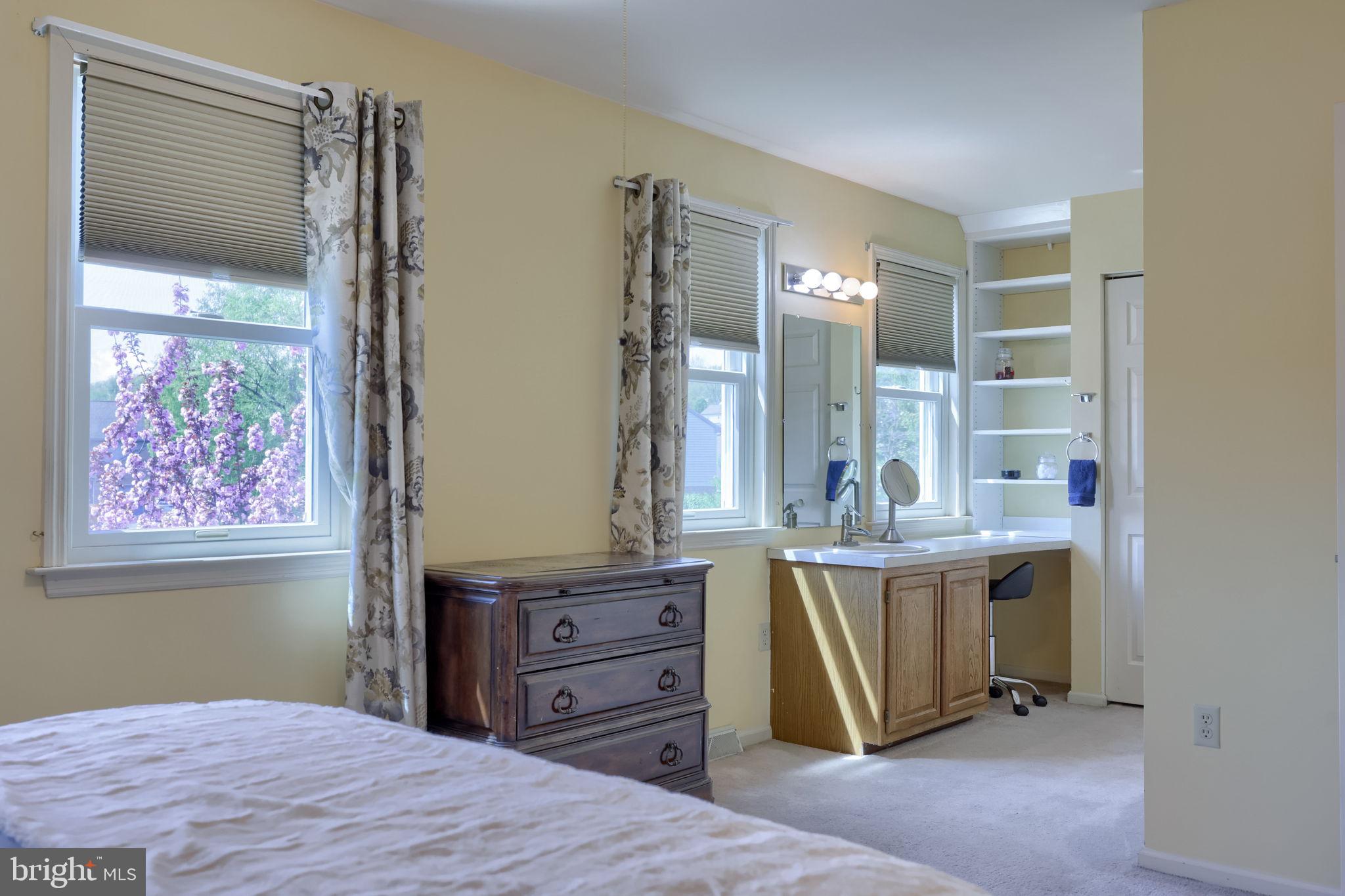 85 Rockford Road Mountville, PA 17554 - Photo 20 of 38 Primary bedroom vanity