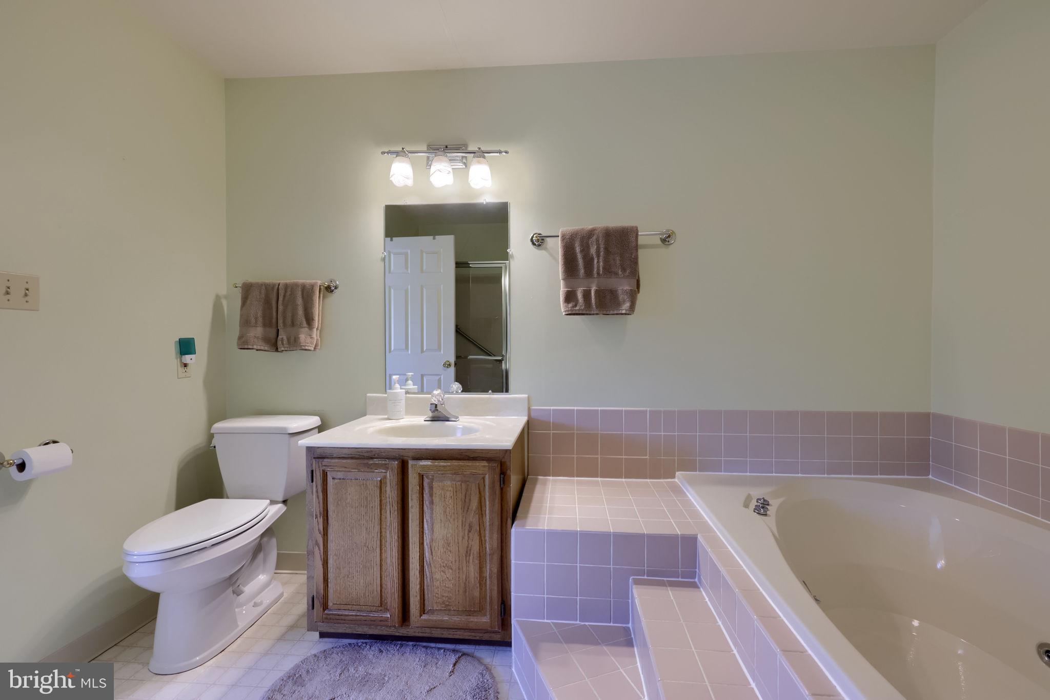 85 Rockford Road Mountville, PA 17554 - Photo 21 of 38 Primary bathroom with spa tub and walk-in shower