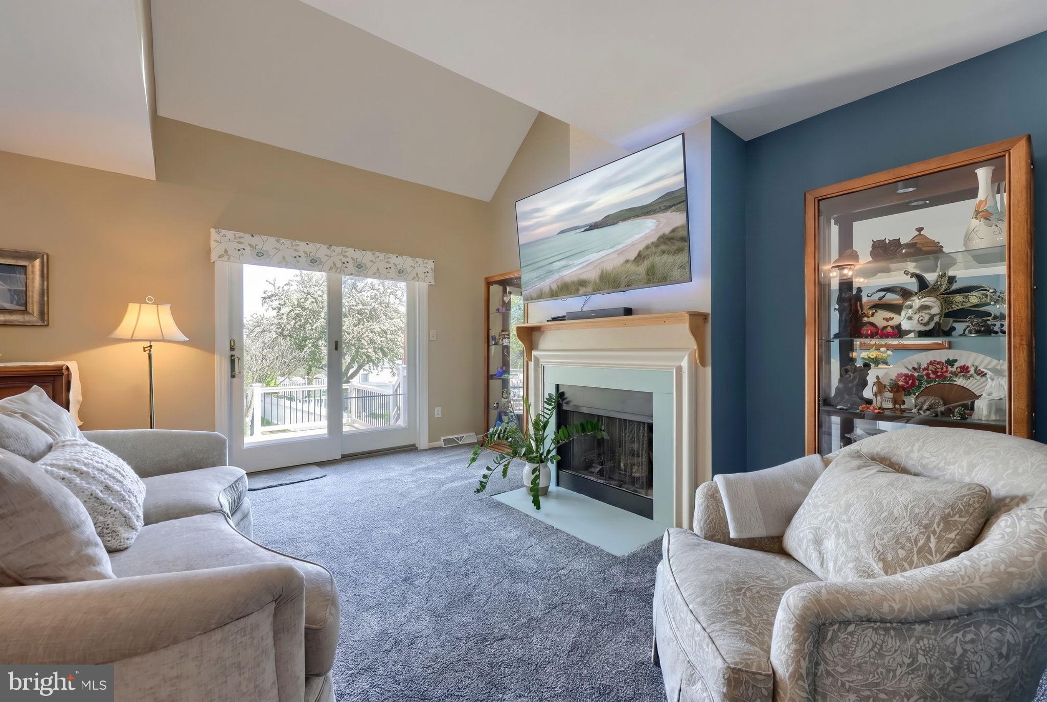 85 Rockford Road Mountville, PA 17554 - Photo 3 of 38 Living room with cathedral ceiling and skylight
