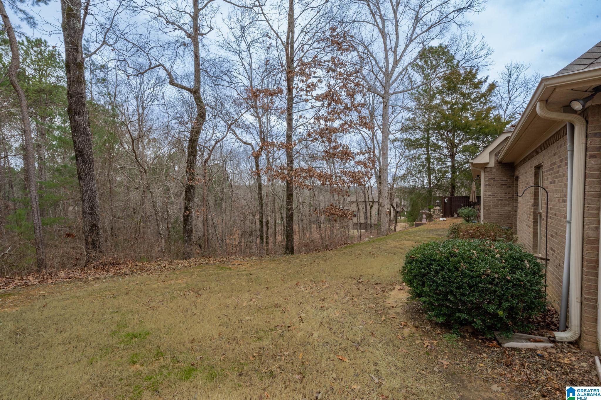 147 Highland Ridge Drive Chelsea, AL 35043 - Photo 47 of 58