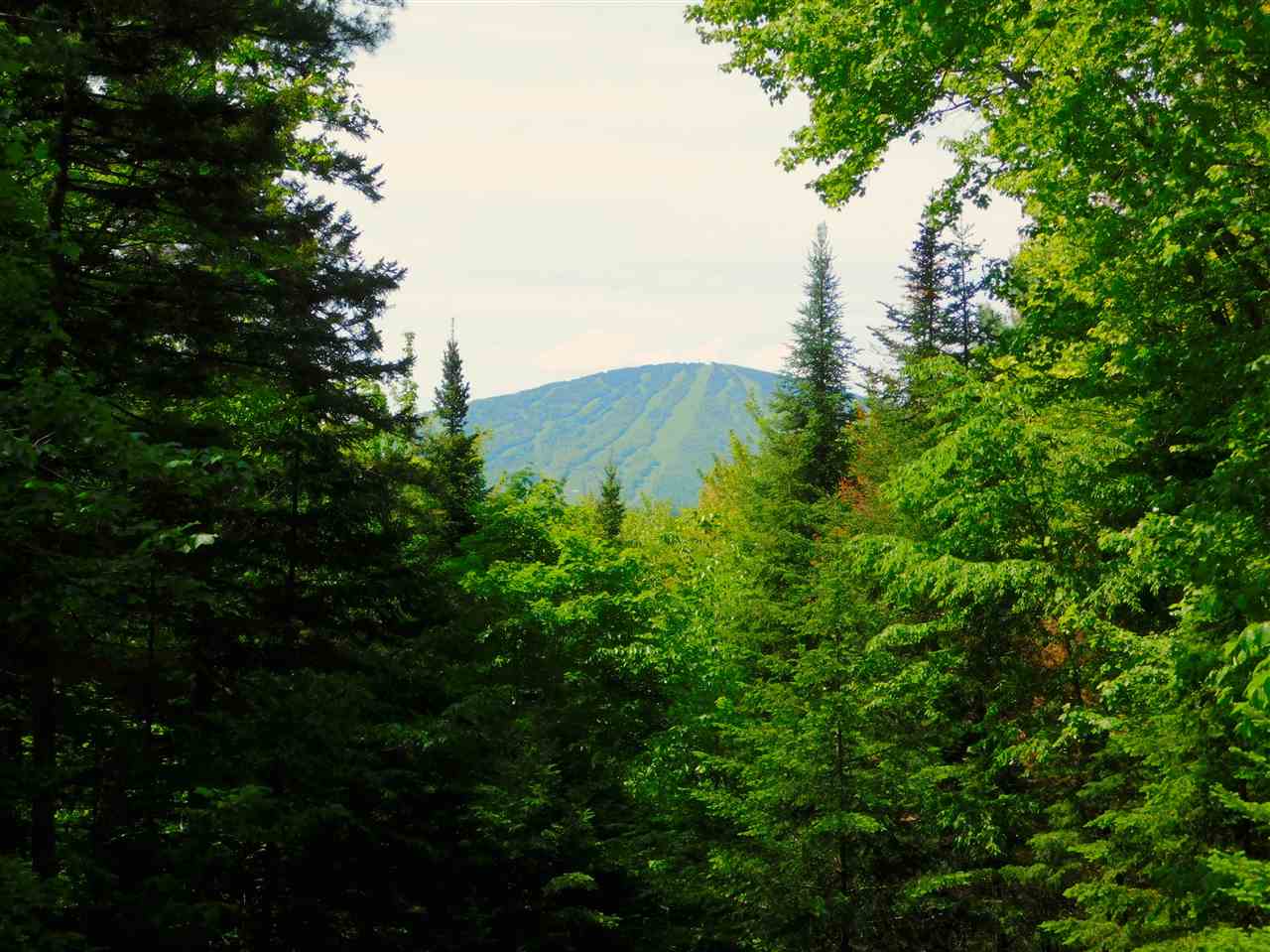 72 Lake Road Winhall, VT 05340 - Photo 2 of 18