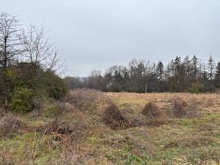 6680 Carpenter Road Ypsilanti, MI 48197 - Photo 2 of 11 IMG_7931.HEIC