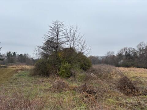 6680 Carpenter Road Ypsilanti, MI 48197 - Photo 3 of 11 IMG_7932.HEIC