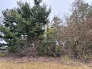 6680 Carpenter Road Ypsilanti, MI 48197 - Photo 5 of 11 IMG_7934.HEIC