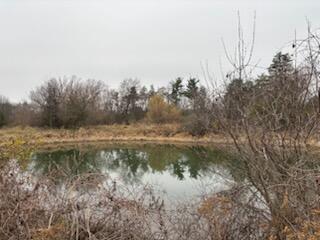 6680 Carpenter Road Ypsilanti, MI 48197 - Photo 7 of 11 IMG_7936.HEIC