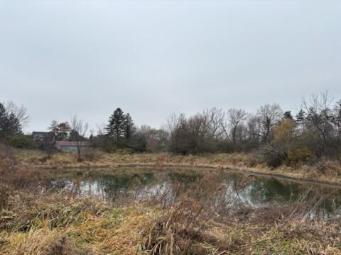 6680 Carpenter Road Ypsilanti, MI 48197 - Photo 8 of 11 IMG_7937.HEIC