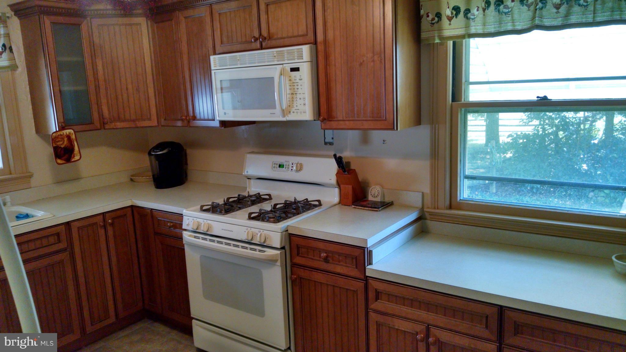 103 Back Landing Road Preston, MD 21655 - Photo 10 of 11 Kitchen