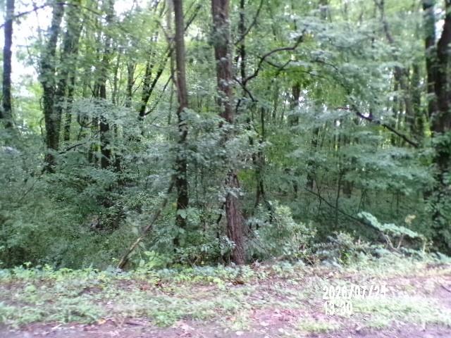 0 Larch Road, Unit 28 Salisbury, NC 28147 - Photo 16 of 17 Gallery Image 16