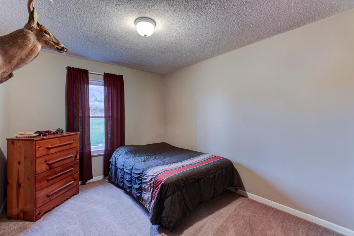 10704 Mountain Road Luttrell, TN 37779 - Photo 12 of 25 a bedroom with a bed and a dresser