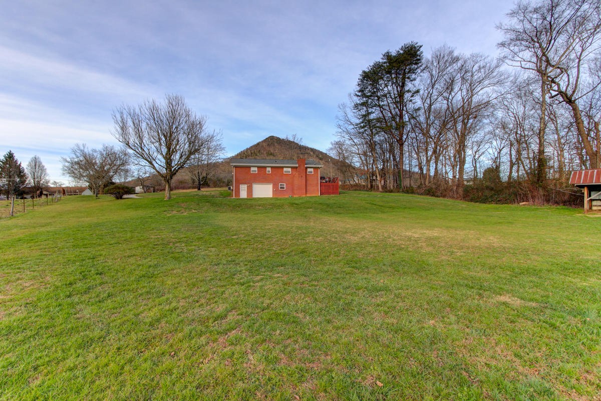10704 Mountain Road Luttrell, TN 37779 - Photo 24 of 25 a view of a large trees with a big yard and large trees