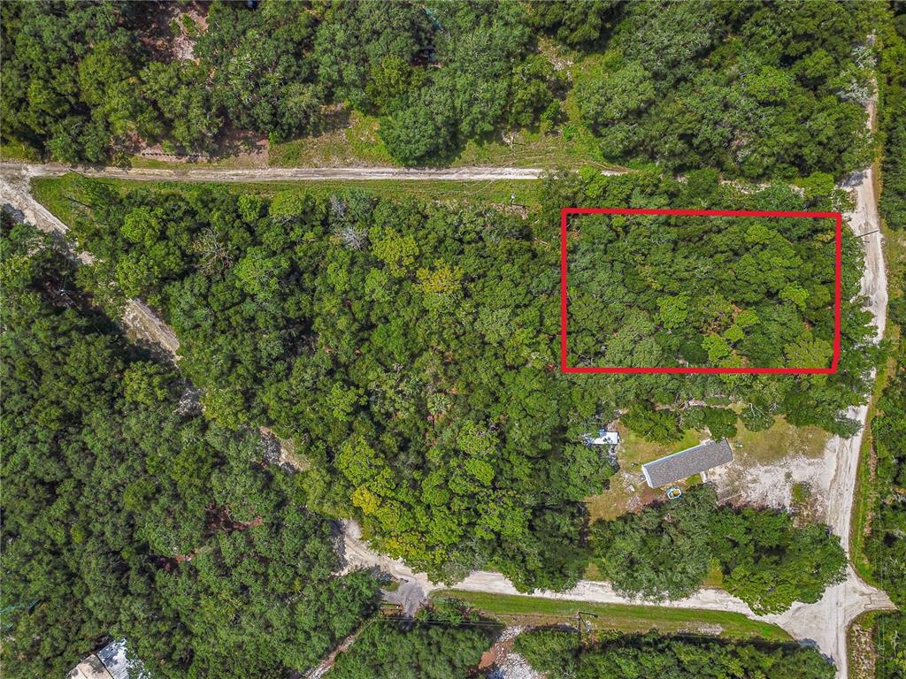 Tbd Northeast 234th Pl Road Fort McCoy, FL 32134 - Photo 1 of 1