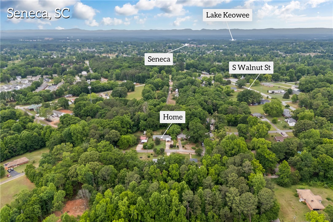 104 Henry Avenue Seneca, SC 29678 - Photo 46 of 50