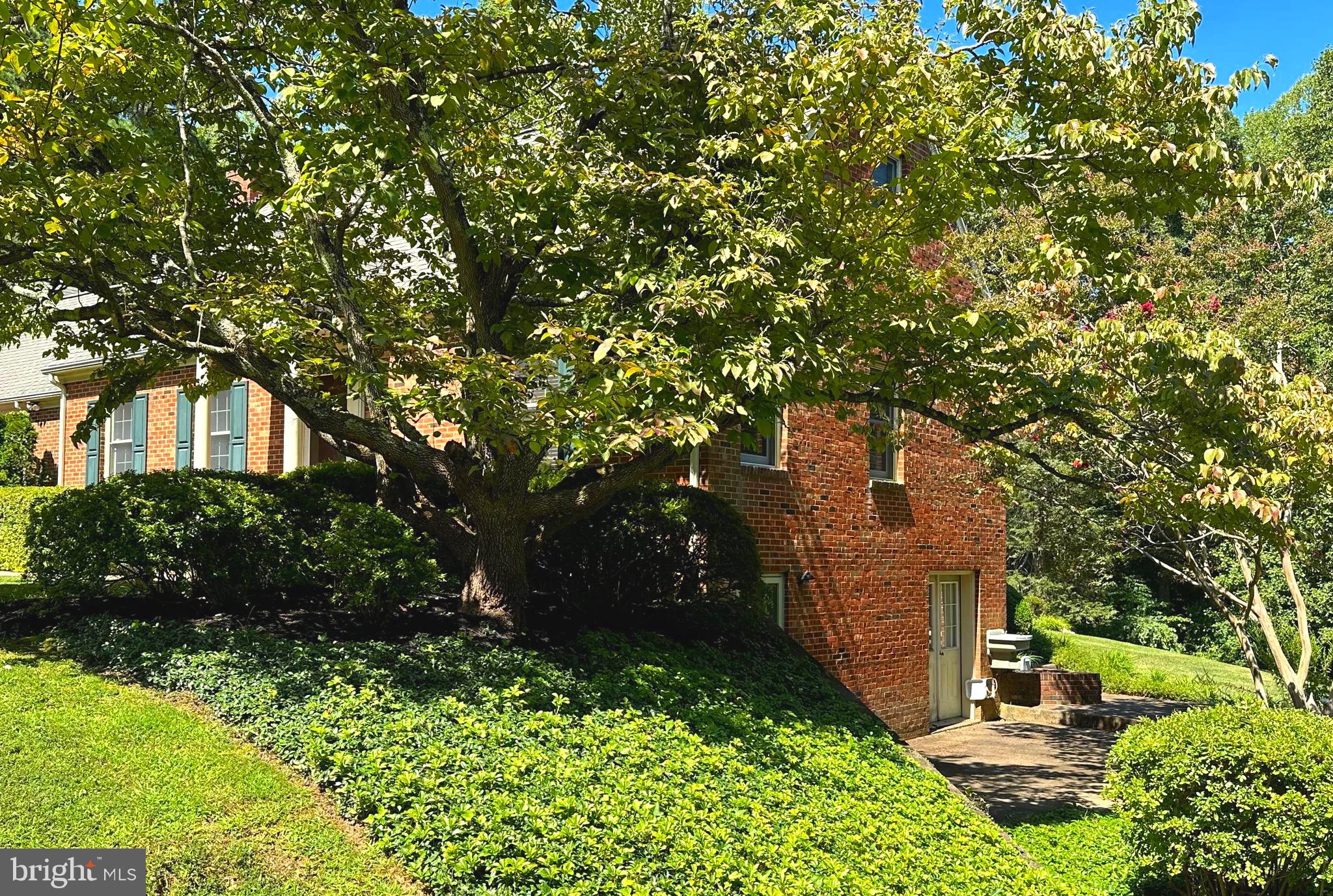 10304 Walker Road Culpeper, VA 22701 - Photo 10 of 16 Lower level walks out to grade