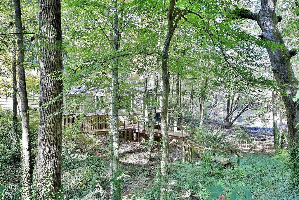 5656 Hamilton Road Pine Mountain, GA 31822 - Photo 53 of 86