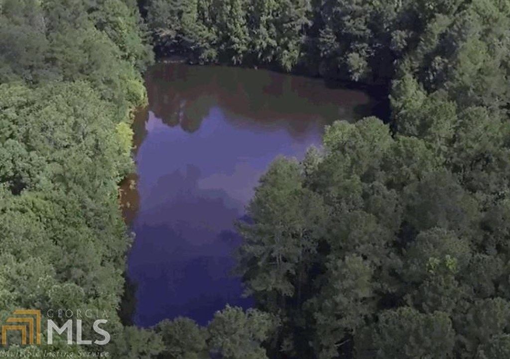5656 Hamilton Road Pine Mountain, GA 31822 - Photo 64 of 86 Lake