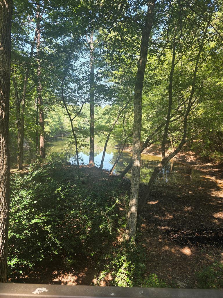5656 Hamilton Road Pine Mountain, GA 31822 - Photo 67 of 86