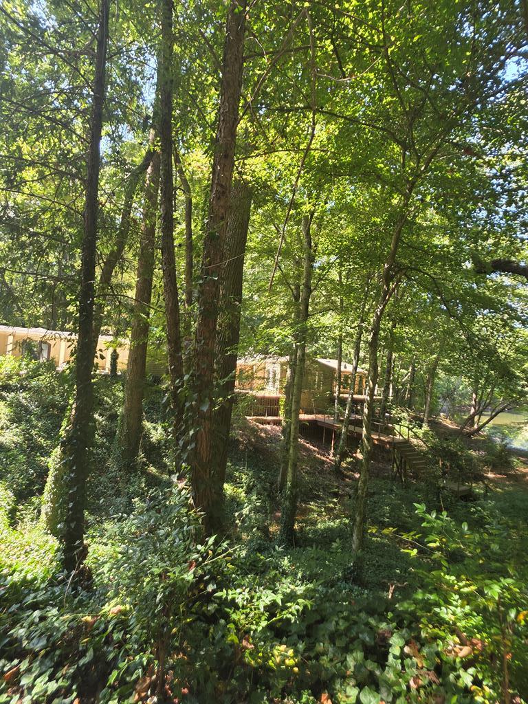 5656 Hamilton Road Pine Mountain, GA 31822 - Photo 68 of 86