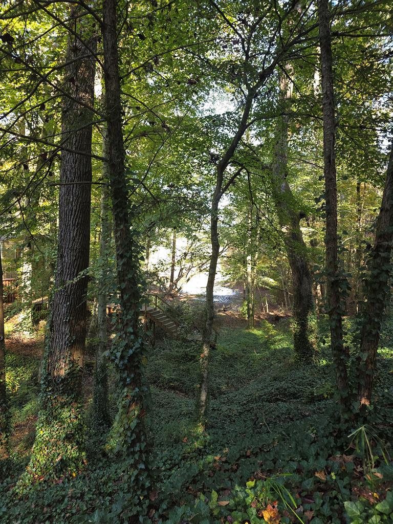 5656 Hamilton Road Pine Mountain, GA 31822 - Photo 74 of 86