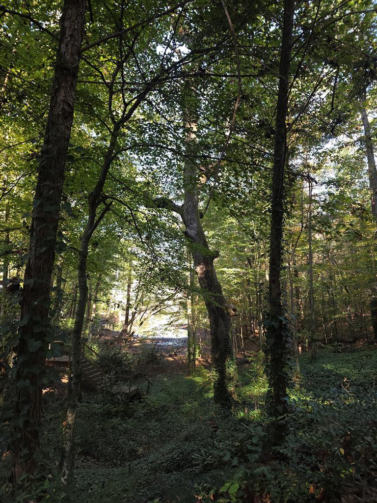 5656 Hamilton Road Pine Mountain, GA 31822 - Photo 75 of 86