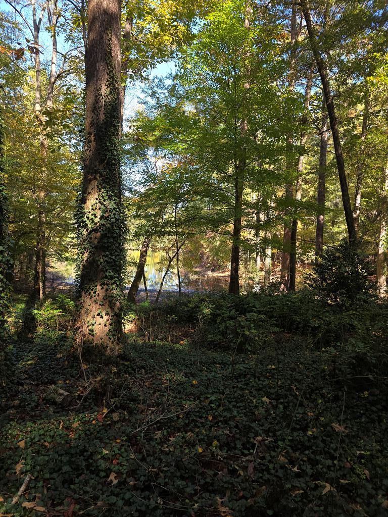 5656 Hamilton Road Pine Mountain, GA 31822 - Photo 76 of 86