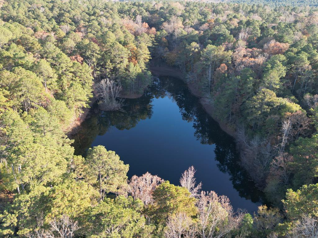 5656 Hamilton Road Pine Mountain, GA 31822 - Photo 83 of 86