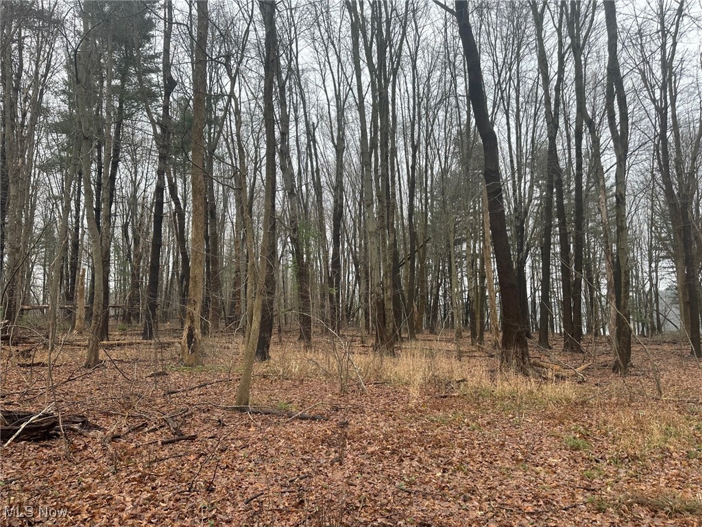 Rootstown Road Ravenna, OH 44266 - Photo 19 of 26 View of nature