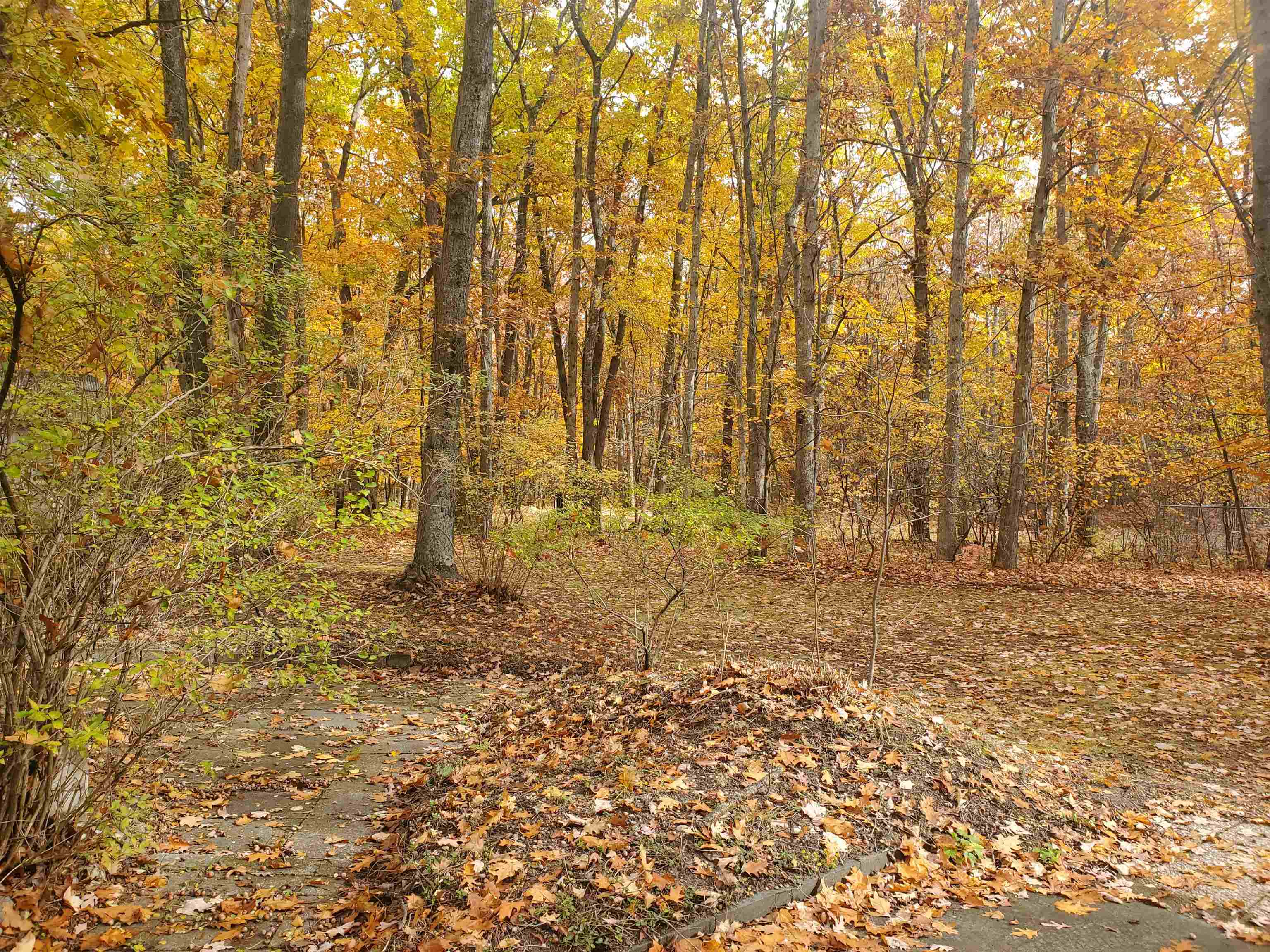 7323 Karlin Road Interlochen, MI 49643 - Photo 26 of 31