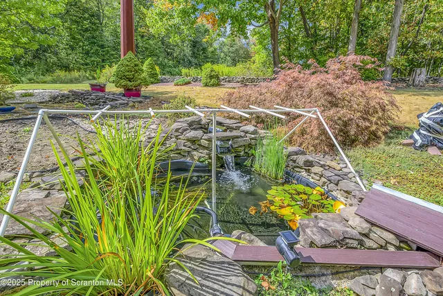 a view of a backyard