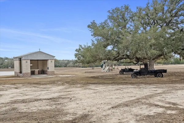 a view of a yard with a tree