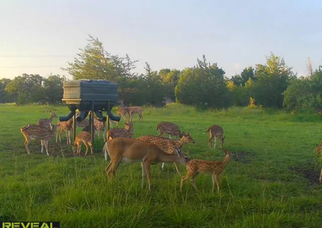a view of a yard in front of the house