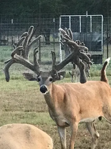 $2,499,000 | 6116 East State Highway, La Grange, TX 78945