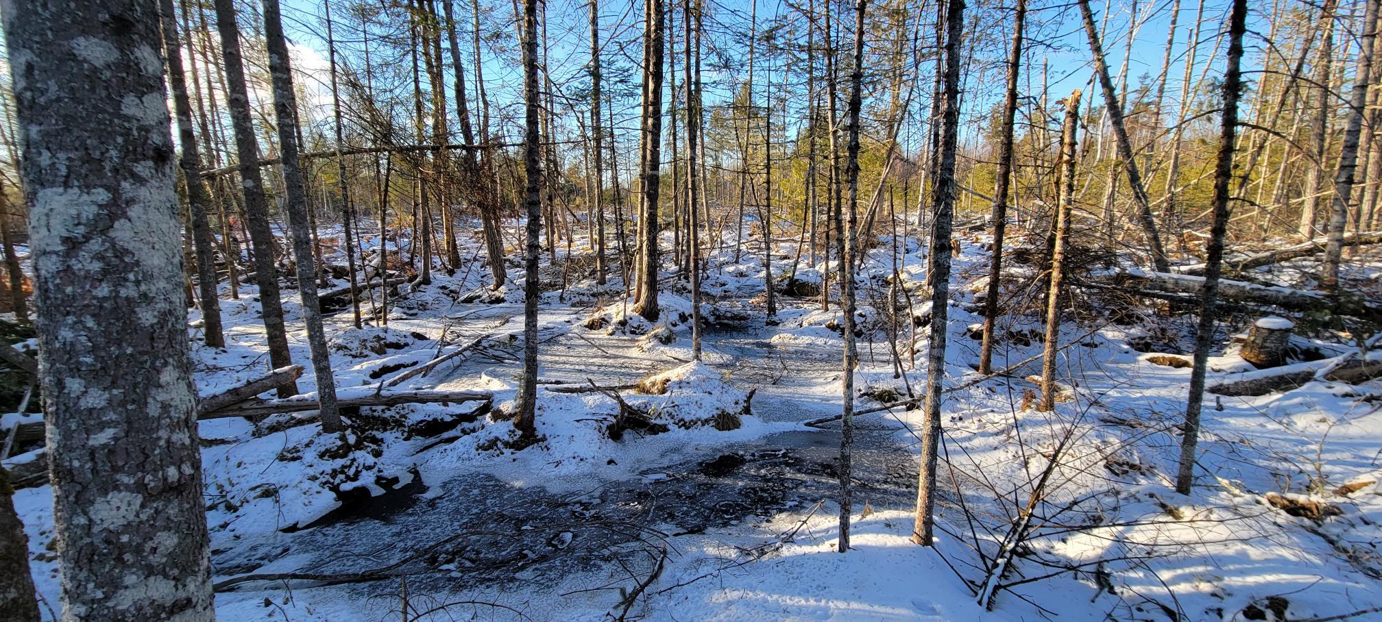 4 Spaulding Road Palmyra, ME 04965 - Photo 18 of 36 Lot 14