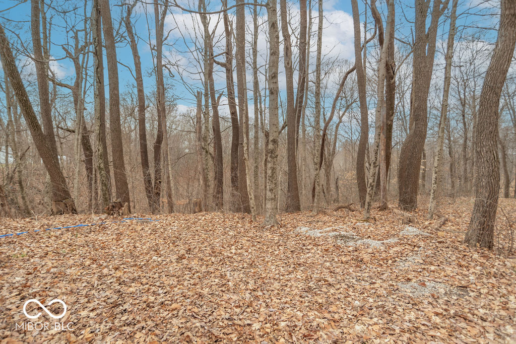 919 South Chaney Road Bloomfield, IN 47424 - Photo 14 of 16