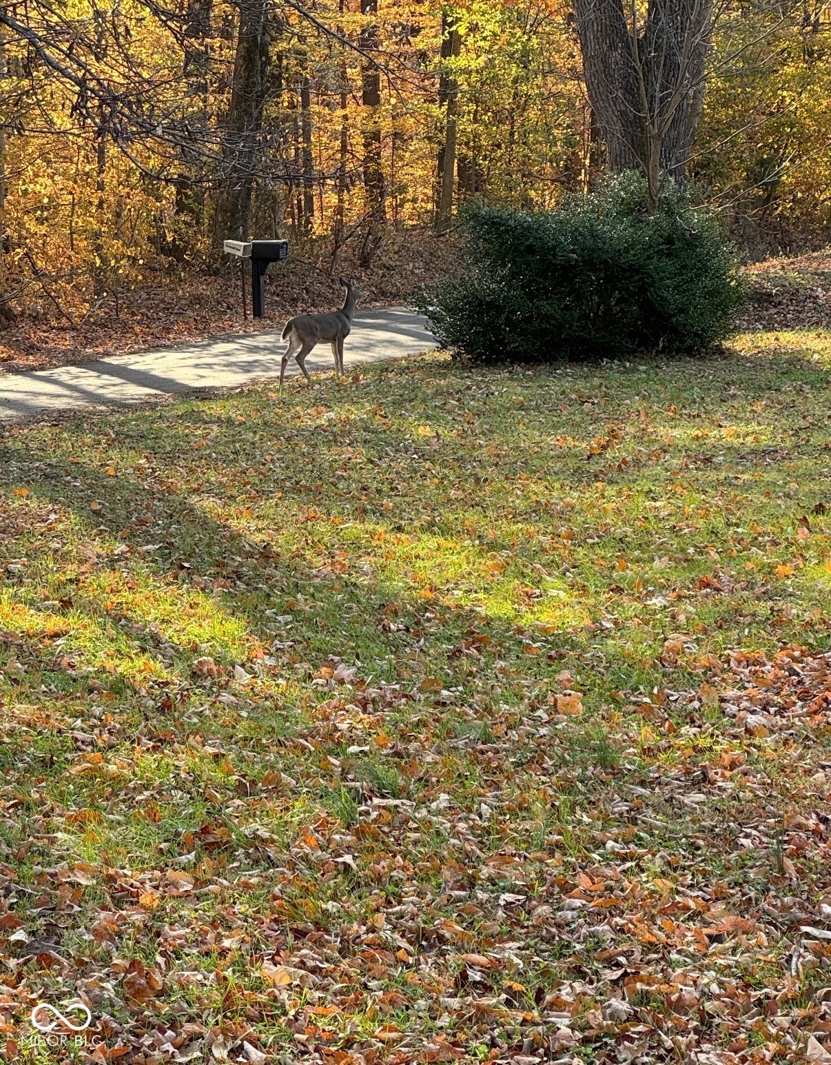 919 South Chaney Road Bloomfield, IN 47424 - Photo 16 of 16