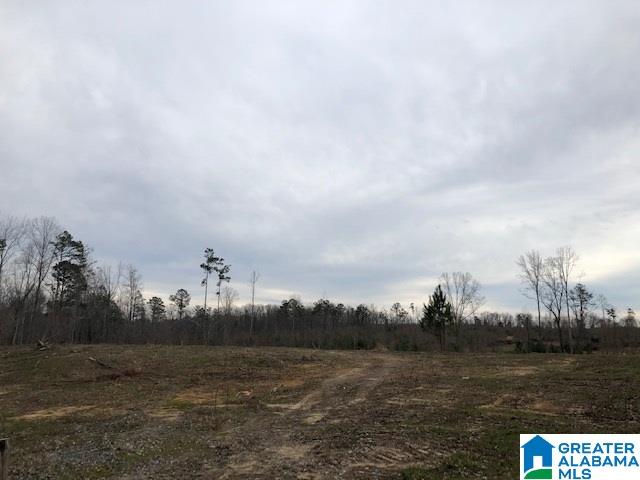 Pine Mountain Road, Unit 2 Springville, AL 35146 - Photo 13 of 16