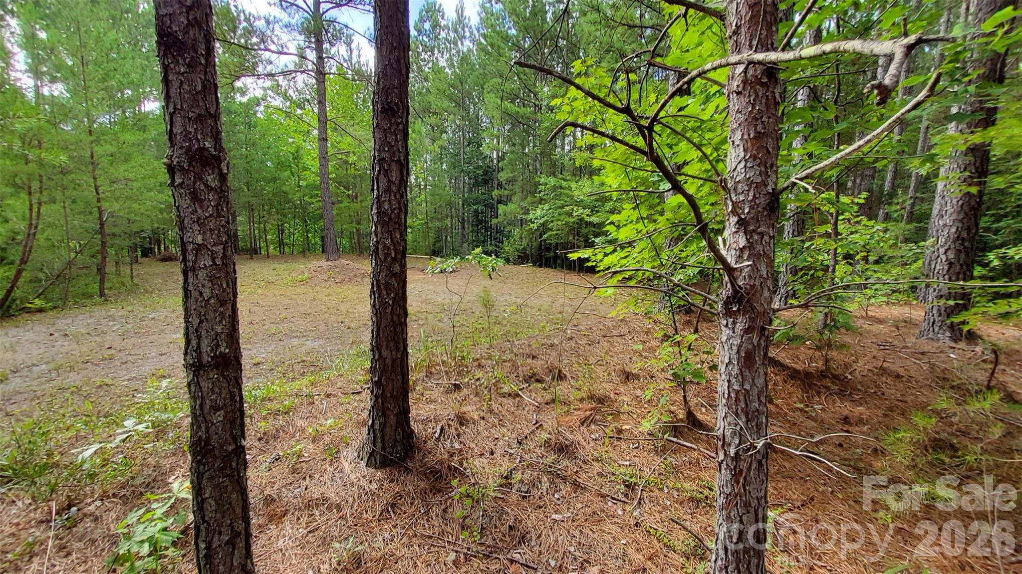 0 Sunset Drive, Unit 12 Mill Spring, NC 28756 - Photo 14 of 20 Gallery Image 14