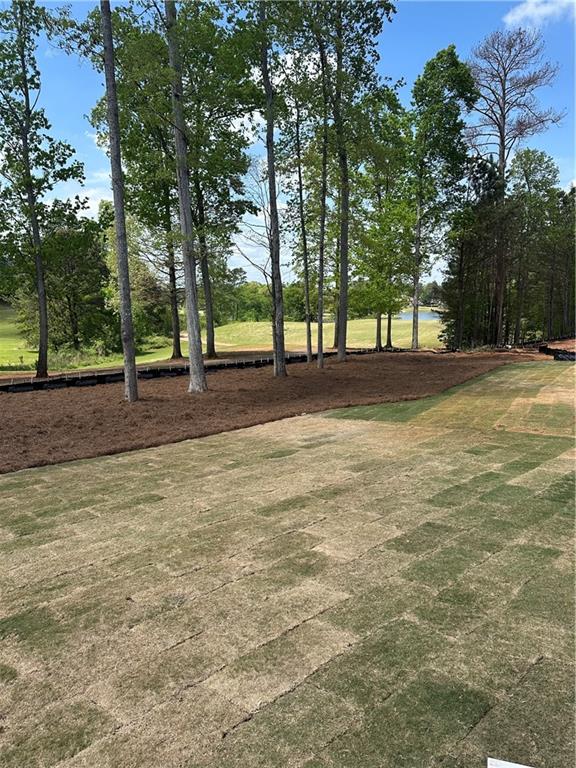 3030 Fairway Court Villa Rica, GA 30180 - Photo 8 of 33