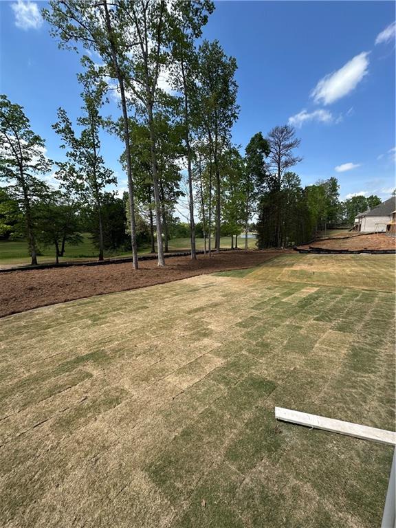 3030 Fairway Court Villa Rica, GA 30180 - Photo 9 of 33