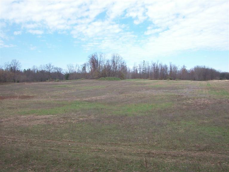 2075 East Hoague Road Free Soil, MI 49411 - Photo 8 of 12 Additional Photo