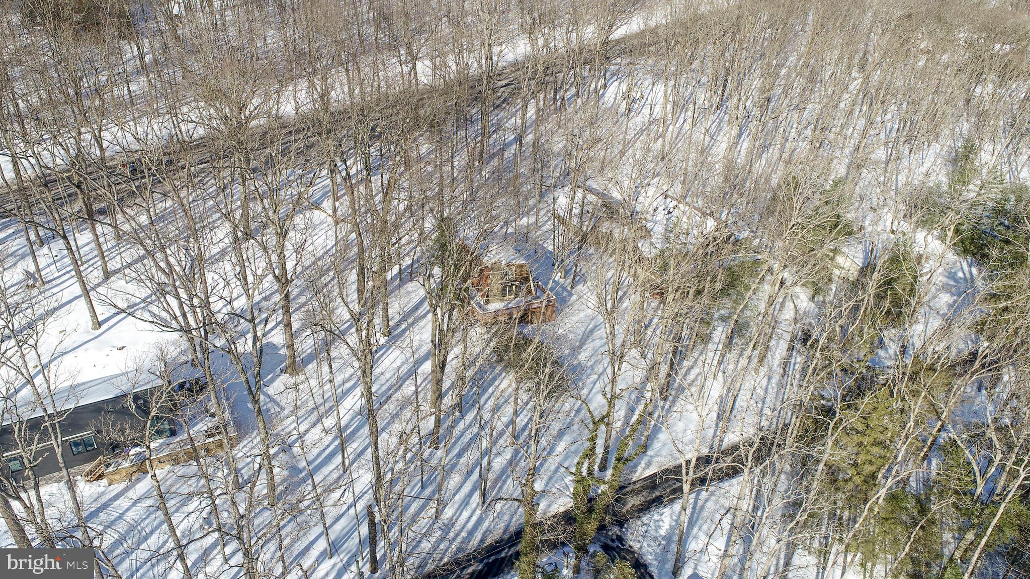 135 Glen Cove Road Swanton, MD 21561 - Photo 13 of 15 a picture of tree