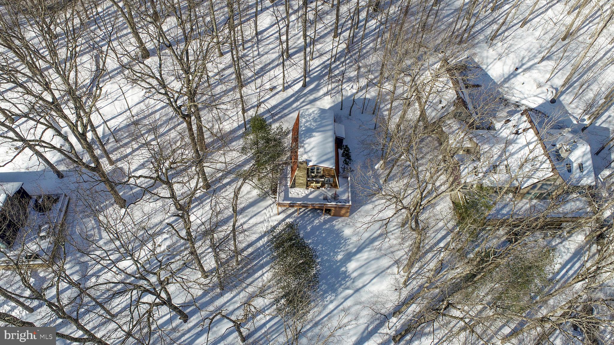 135 Glen Cove Road Swanton, MD 21561 - Photo 14 of 15 a backyard of a house with large trees