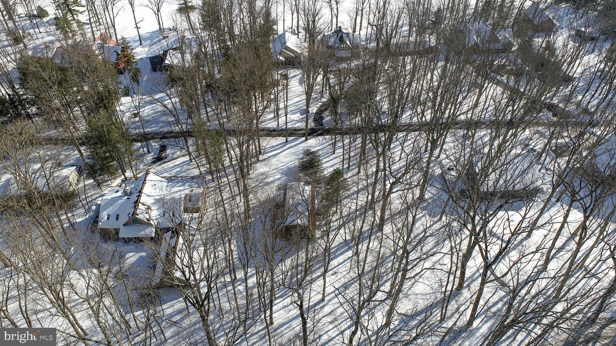 135 Glen Cove Road Swanton, MD 21561 - Photo 15 of 15 a view of tree