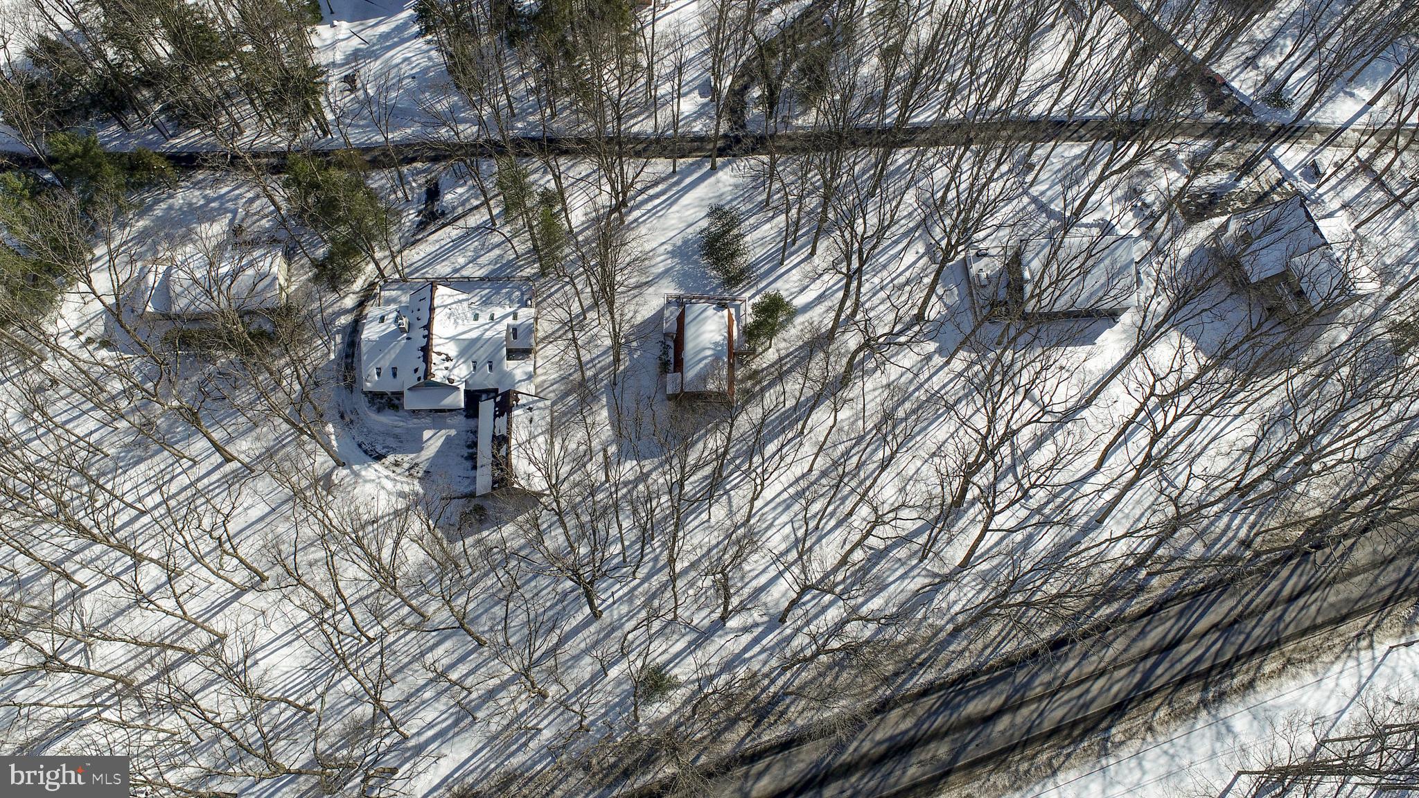 135 Glen Cove Road Swanton, MD 21561 - Photo 10 of 15 a backyard of a house with lots of green space