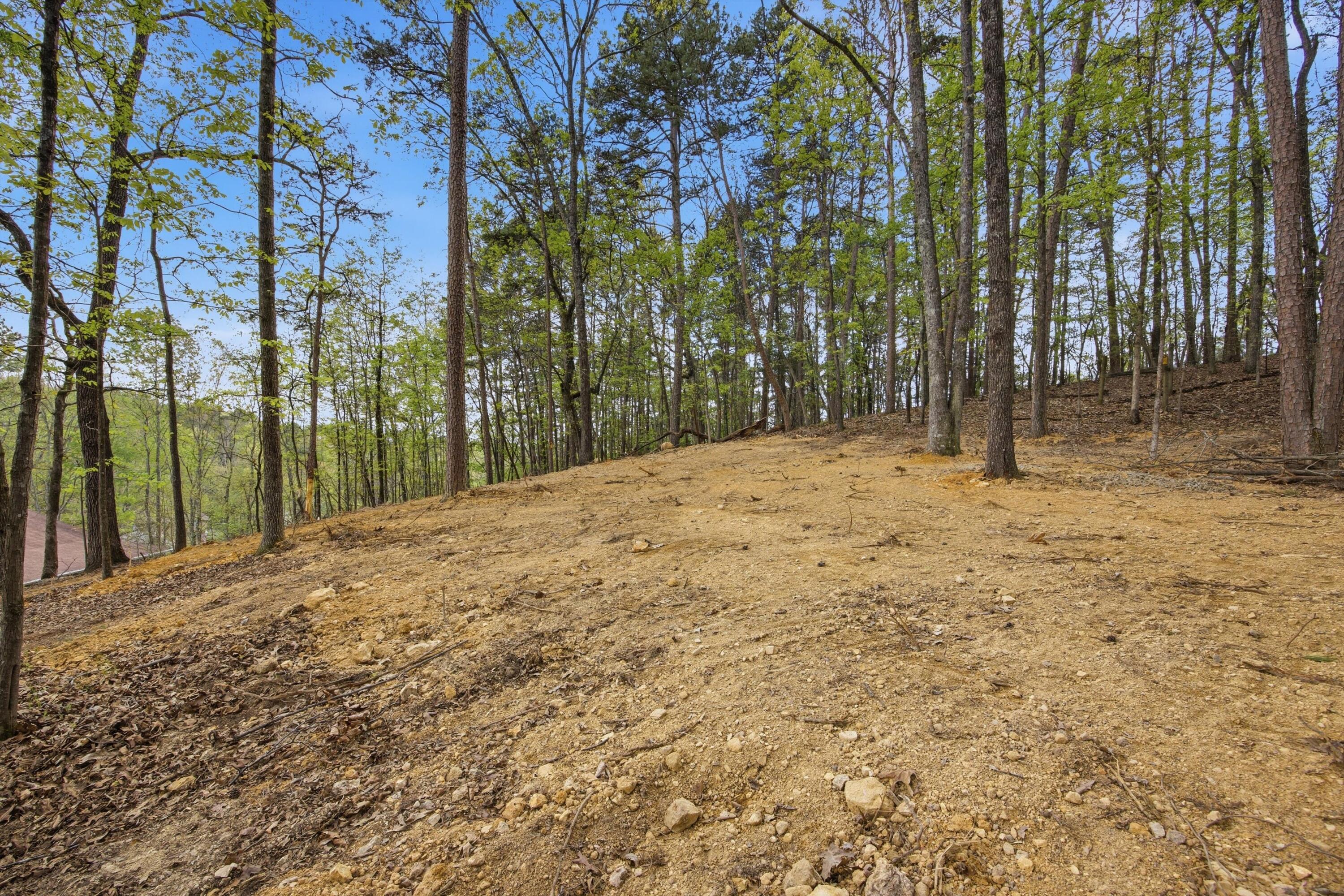 8769 Hidden Branches Road Harrison, TN 37341 - Photo 38 of 47 37-8769HiddenBranch_027