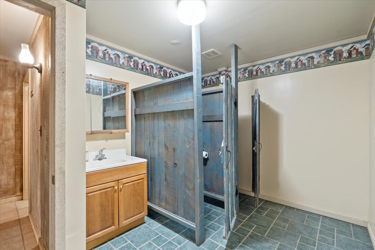 5460 Moline Road Erie, IL 61250 - Photo 19 of 38 a bathroom with a sink a mirror and a shower