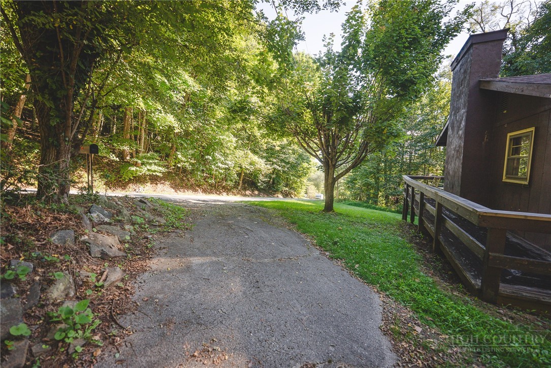 351 Lynn Hill Road Boone, NC 28607 - Photo 4 of 36 Gallery Image 4