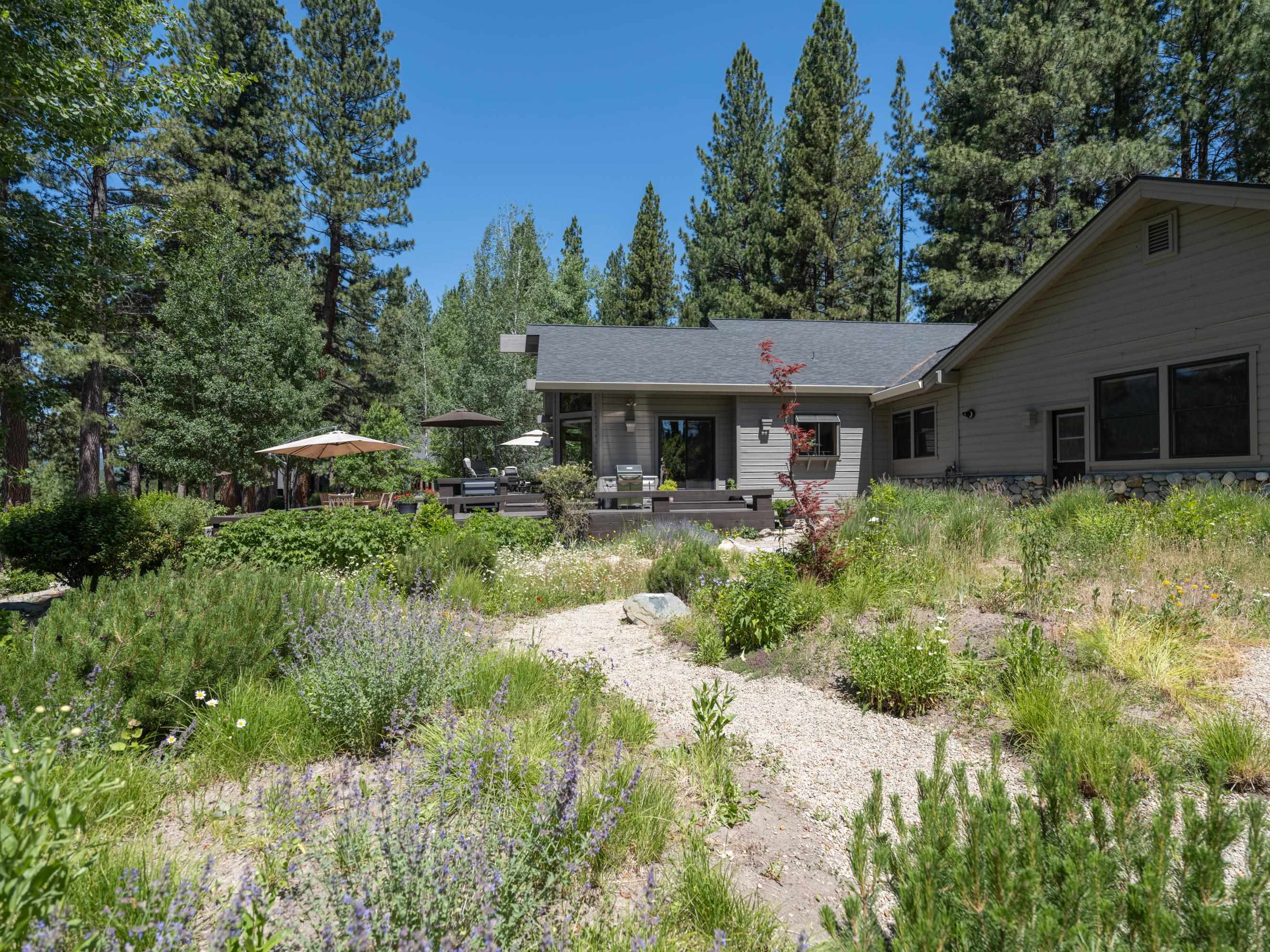 134 Quail View Circle Clio, CA 96106 - Photo 38 of 49 a backyard of a house with yard and outdoor seating
